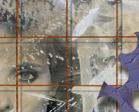 cathy portrait illusion detail 1 web.jpg (406458 bytes)